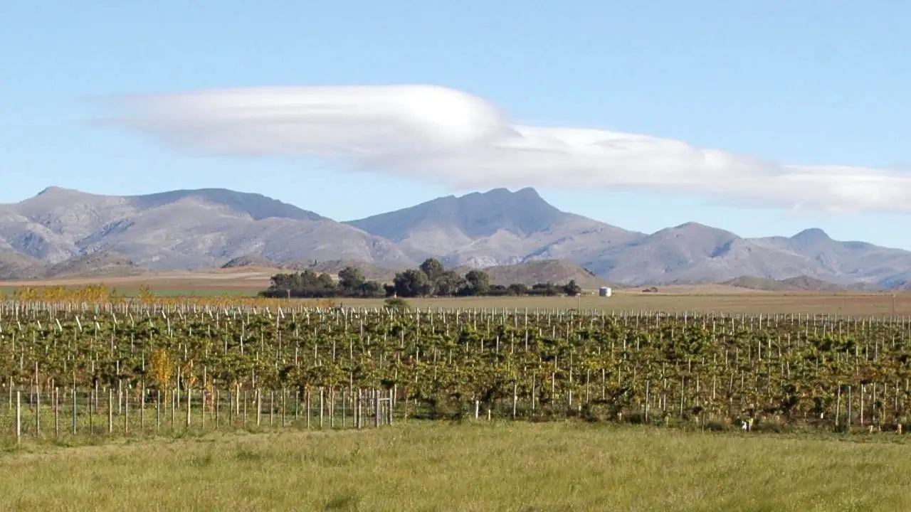 La ciudad bonaerense que es conocida como la "capital nacional del vino artesanal": dónde queda y qué hacer