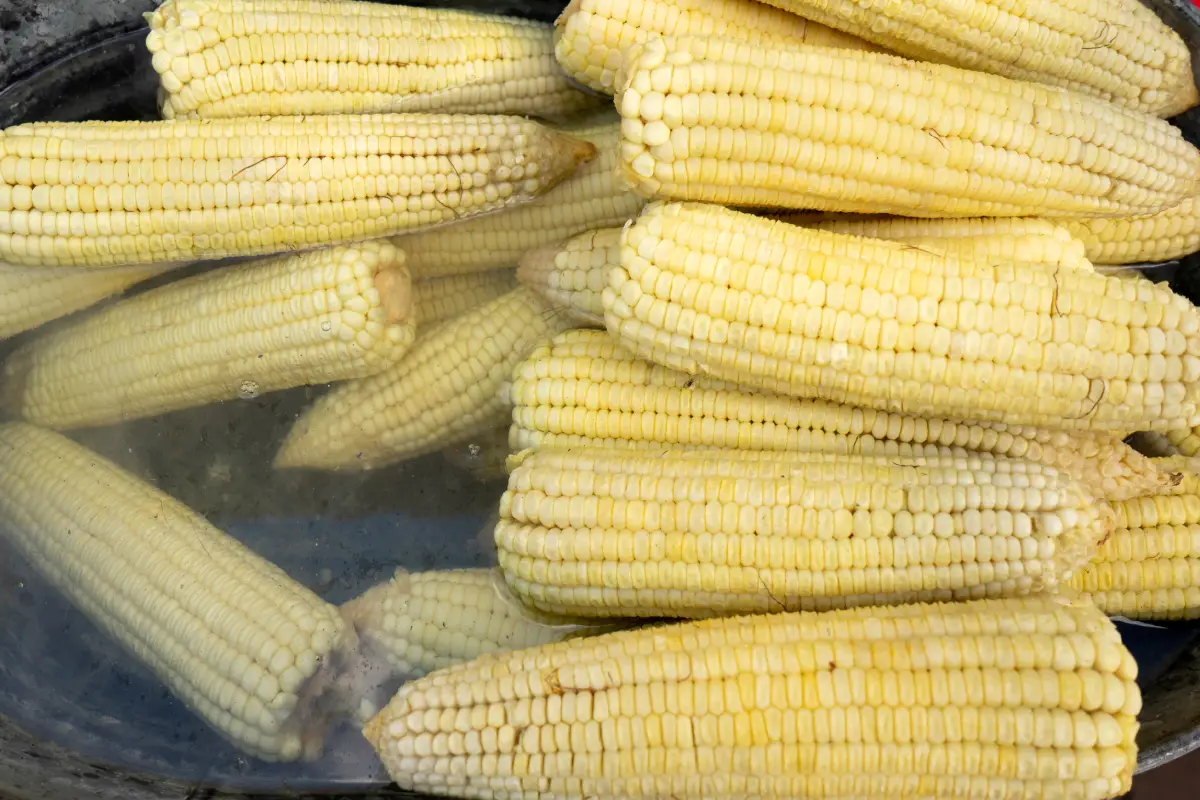 Cocer elotes hervidos en olla express