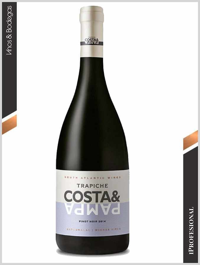 Costa & Pampa Pinot Noir