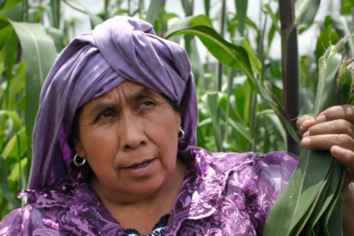 Cocinera de Michoacán Juana Bravo