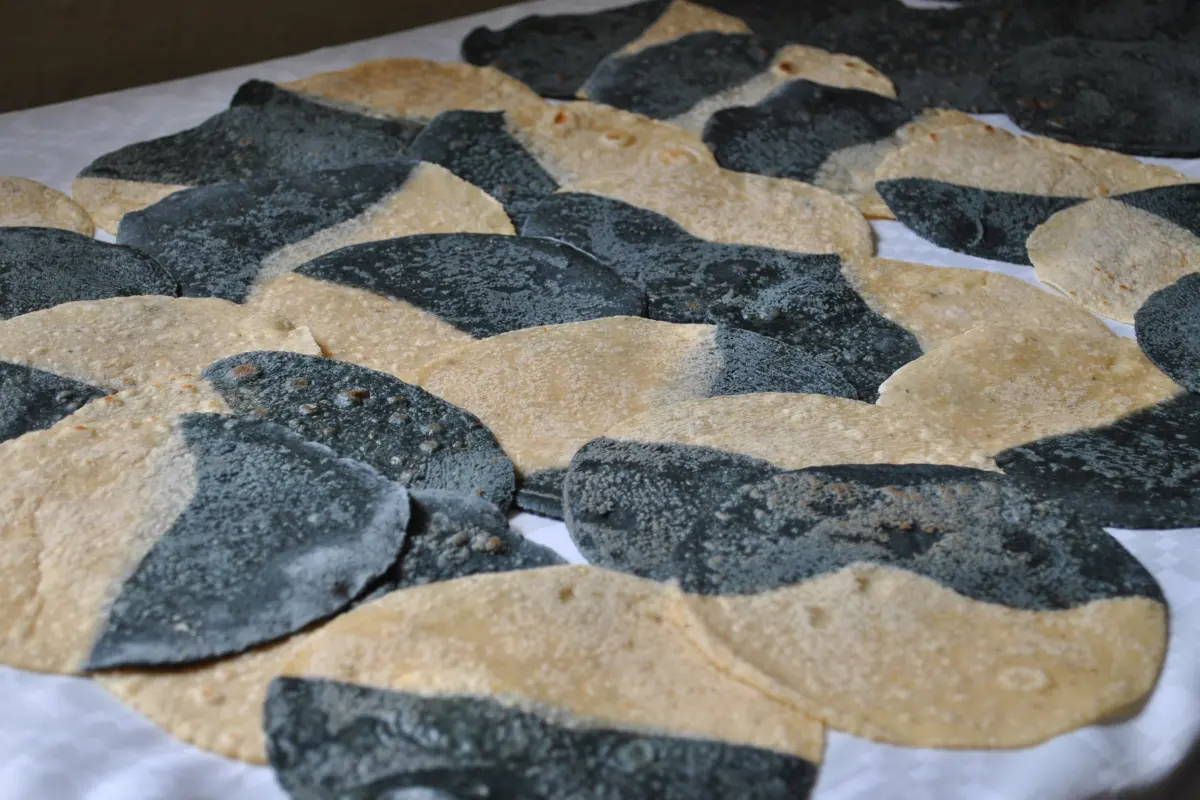 Tortillas hechas a mano de Nixcome