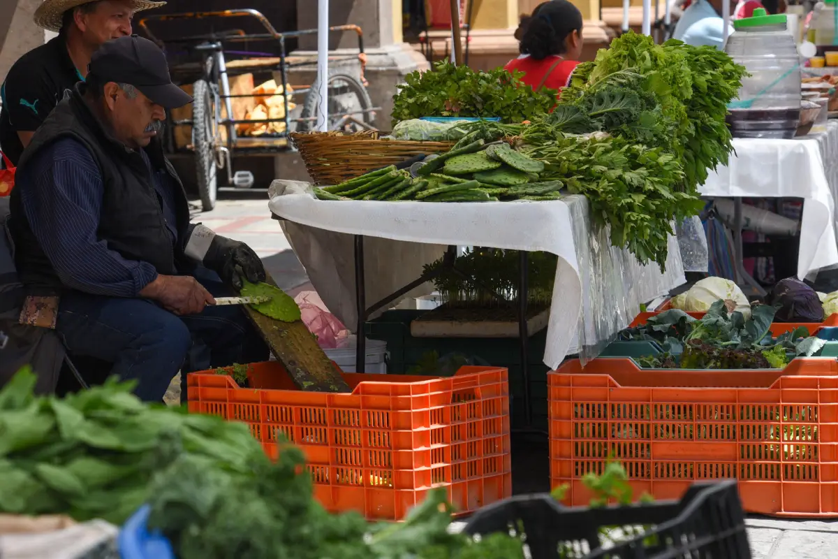 Productores de hortalizas