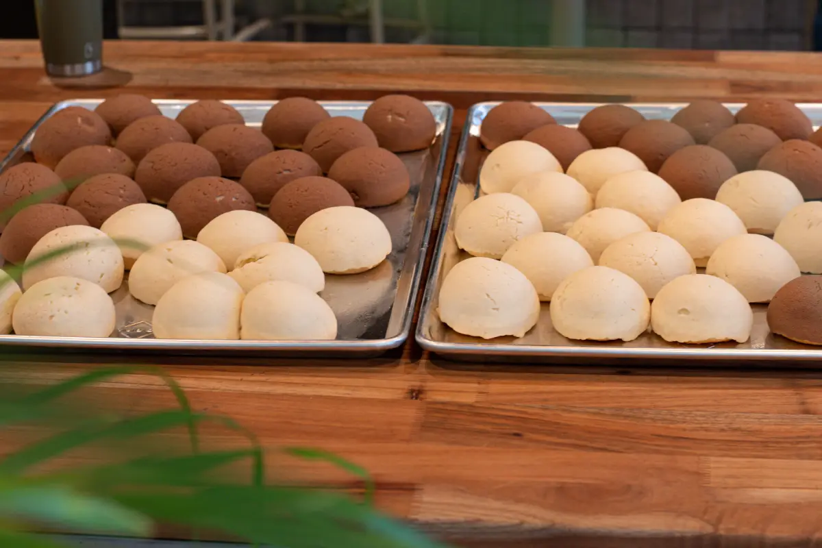 bandeja de conchas