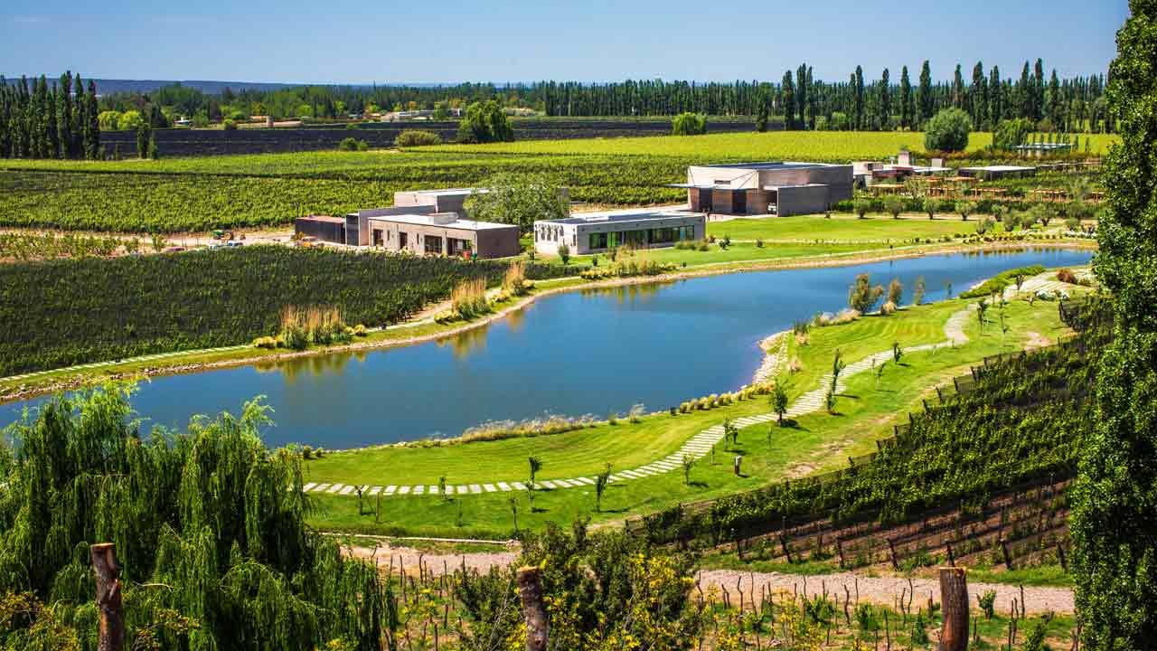 Viñedo de Durigutti