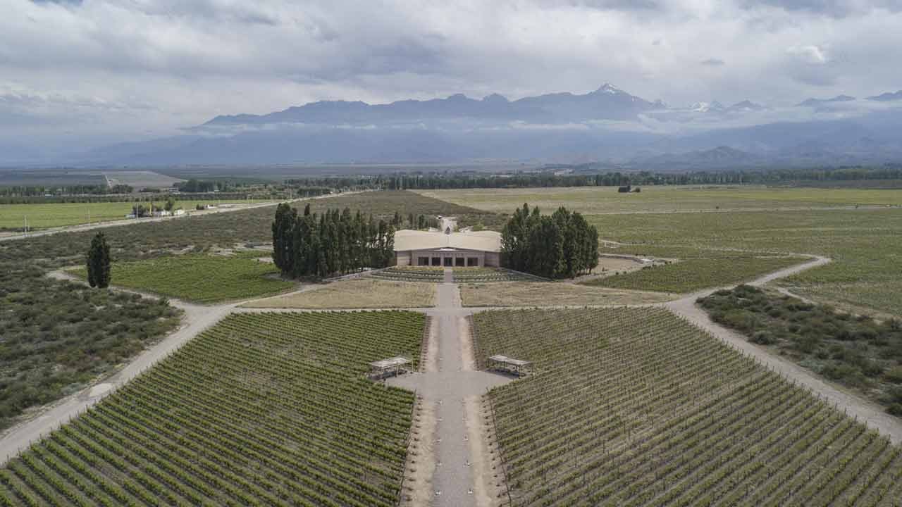 Viñedos de Bodegas Salentein