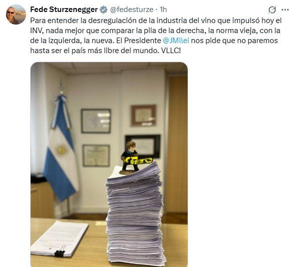 El mensaje de Federico Sturzenegger