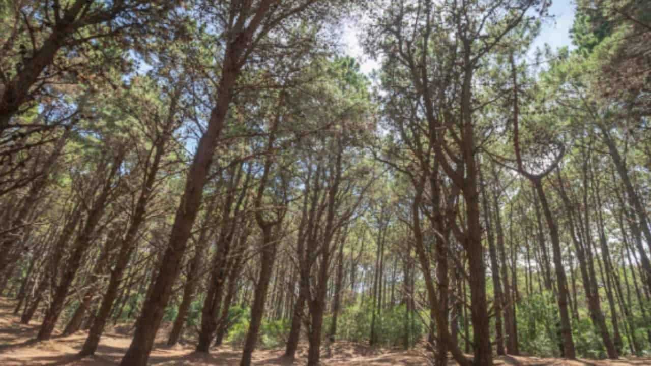 La Reserva en Costa del Este es uno de los lugares ideales para descansar