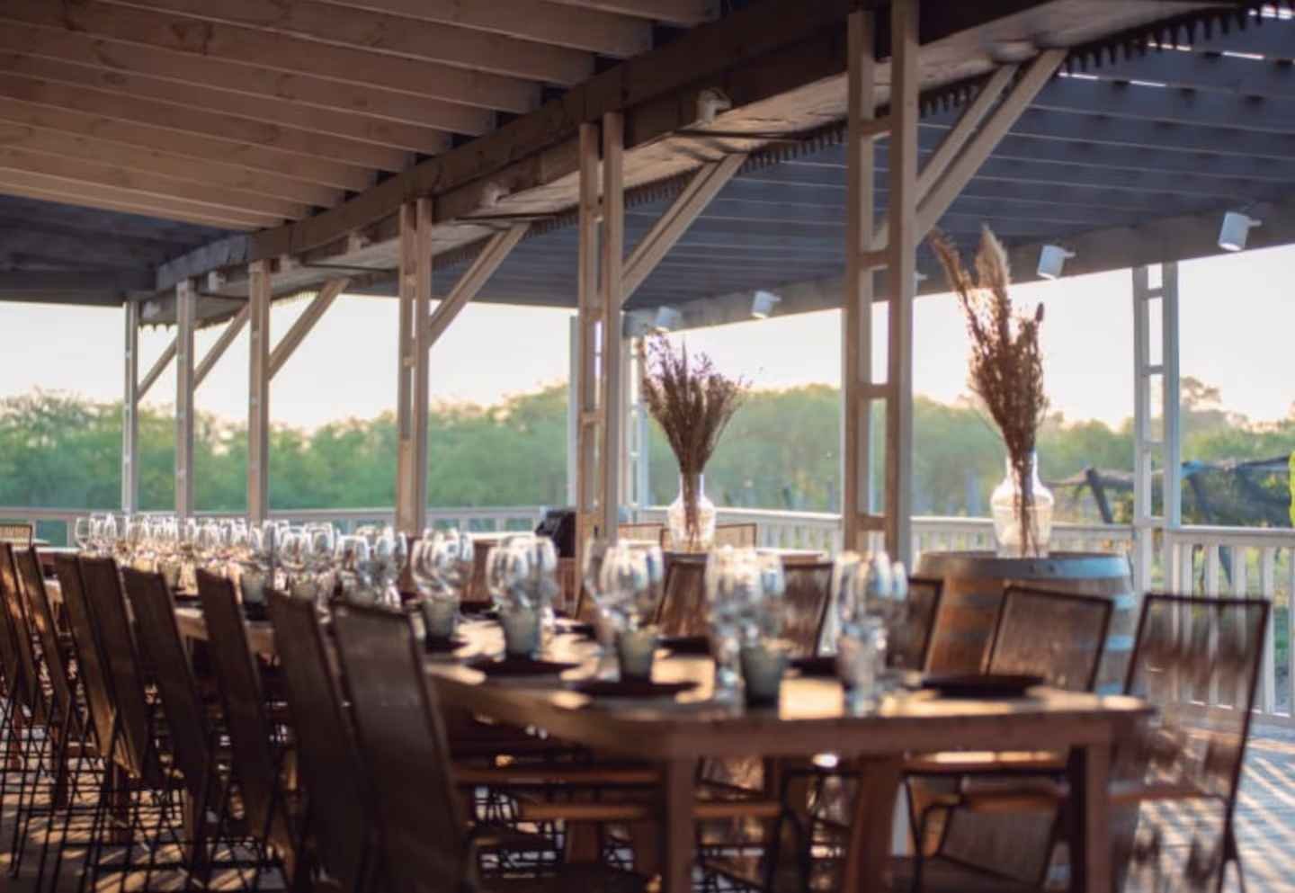 Un rincón de los viñedos bonaerenses listo para ser recorrido y disfrutado