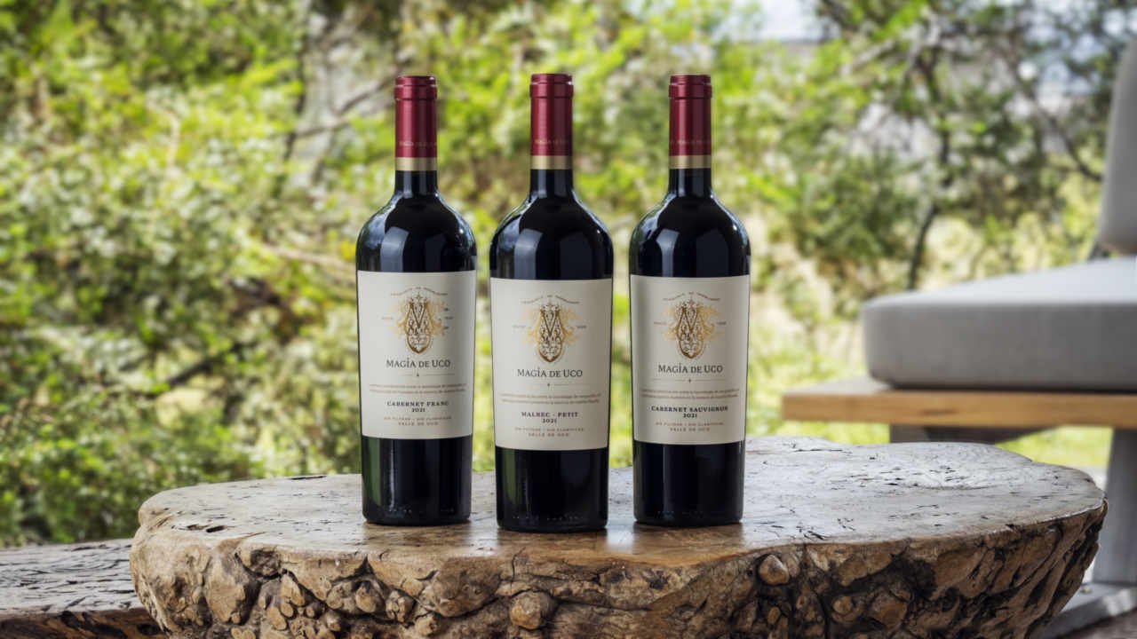 Hacen vendimia de madrugada para procesar las uvas en 40 minutos y preservar su máxima calidad