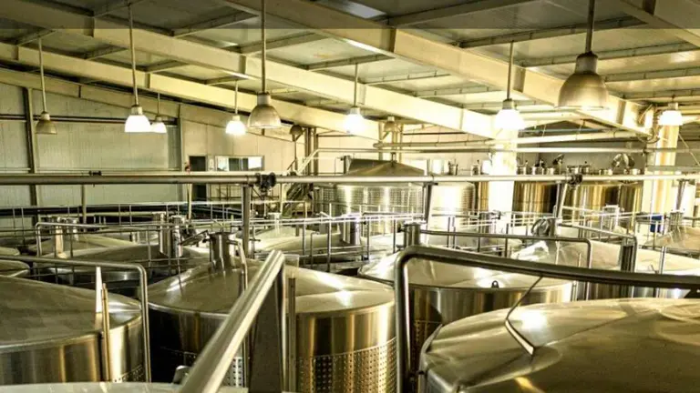 Casa Montes, símbolo de la crisis que sacude a las bodegas argentinas: $471 millones en cheques rechazados