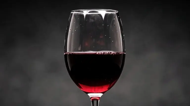 Cuánto cuesta el Malbec elegido como el mejor vino argentino en un concurso internacional