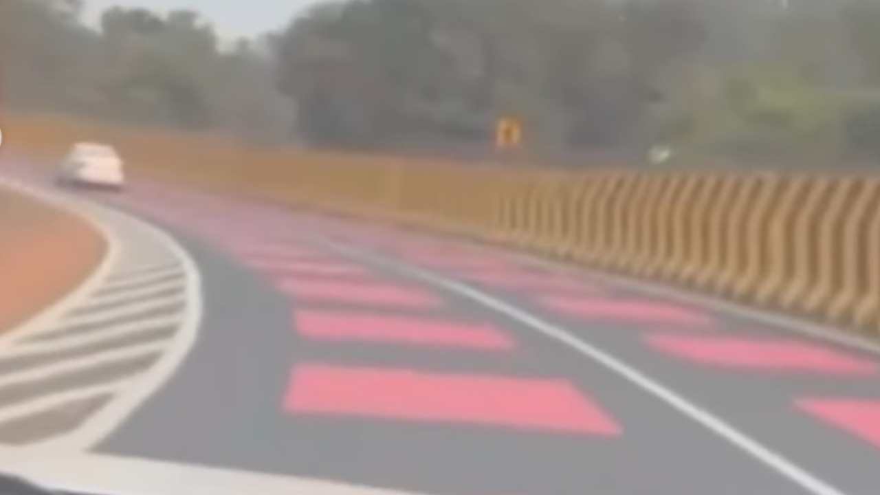 La ruta roja en India, para preservar la fauna y evitar accidentes