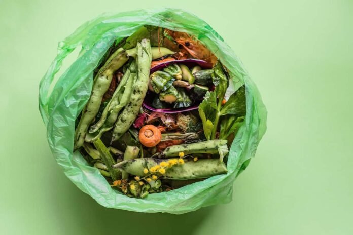 Desperdicio de alimentos en México: ¿cómo lograr que los niños no desperdicien comida según la Profeco