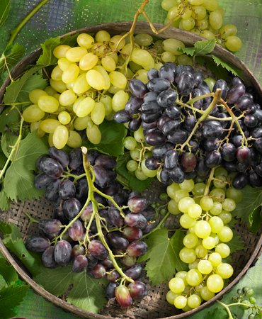 Uvas